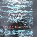 12inch Vinyl Single - Peter Richter - Wie Kann Ich Ein Fluss Sein
