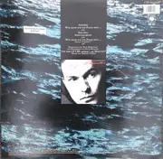 12inch Vinyl Single - Peter Richter - Wie Kann Ich Ein Fluss Sein