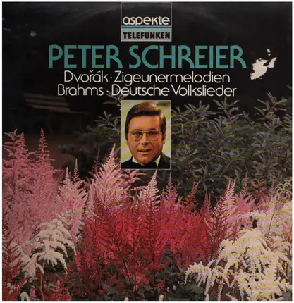 Peter Schreier / Antonín Dvořák / Johannes Brahms - Dvorák - Zigeunermelodien, Lieberslieder, Biblische Lieder