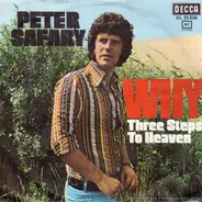 Peter Safari - Why