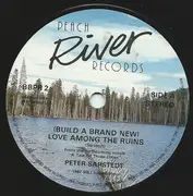 7inch Vinyl Single - Peter Sarstedt - (Build A Brand New) Love Among The Ruins - in Picture Sleeve