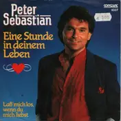 Peter Sebastian - Eine Stunde In Deinem Leben