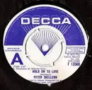 7inch Vinyl Single - Peter Skellern - Hold On To Love