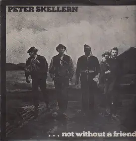 Peter Skellern - Not without a friend