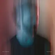 LP - Peter Silberman - Impermanence