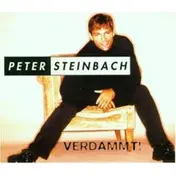 Peter Steinbach - Verdammt!