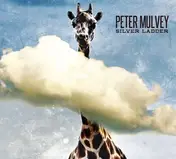 Peter Mulvey - Silver Ladder