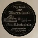 7'' - Peter Bursch - Gitarrenbuch Musikbeispiele Nr.1