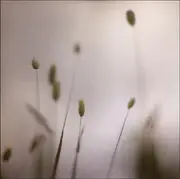 CD - Peter Broderick - Float