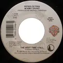 7'' - Peter Cetera W/ Amy Grant / Peter Cetera - The Next Time I Fall / Glory Of Love