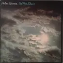 LP - Peter Green - In The Skies - Gatefold