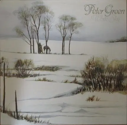 Peter Green - White Sky