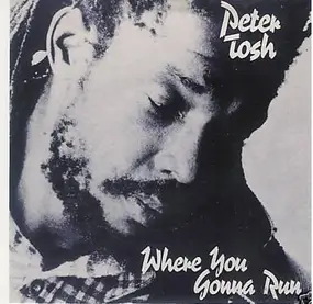 Peter Tosh - Where You Gonna Run