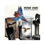 Peter Visti - Illusions In A Twisted Mind
