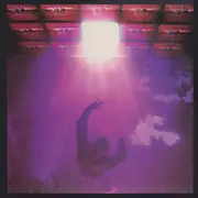 LP - Petra - Beat The System