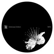 Pfirter - Caos Y Orden Superior