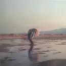 12inch Vinyl Single - Phoebe Bridgers & Rob Moose - Copycat Killer - EP