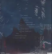 LP - Phoebe Bridgers - Punisher