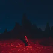 Phoebe Bridgers