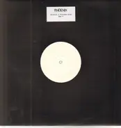 Phoenix Vs. NuDisco - Everything Is Everything