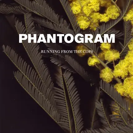 Phantogram - Running From The Cops