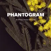 Phantogram - Running From The Cops