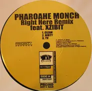 Pharoahe Monch - Right Here Remix