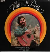 Phil Keaggy - What a Day