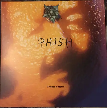 Phish - A Picture of Nectar