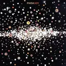 LP & MP3 - Phish - Joy - 180g, etched