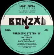 phrenetic system - IV
