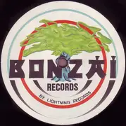 12inch Vinyl Single - Phrenetic System - IV