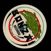 phrenetic system - IV