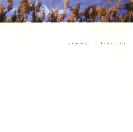 Pimmon - Kinetica