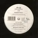 12'' - Pin Up - Love My Fantasy