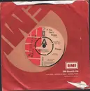 7'' - Pinups - If You Can't Boogie - Promo Only