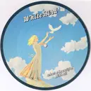 7inch Vinyl Single - Pinball - White Bird