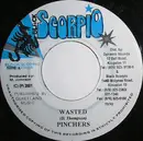 7inch Vinyl Single - Pinchers - Wasted