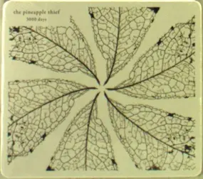 Pineapple Thief - 3000 Days