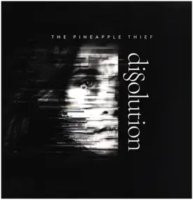 Pineapple Thief - Dissolution