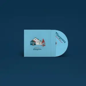 Pinegrove - Amberland Sessions