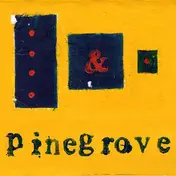 Pinegrove - Everything -Coloured-
