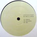 12inch Vinyl Single - Pineland - Grounded EP - EP