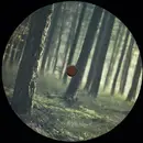 12inch Vinyl Single - Pineland - Part 2