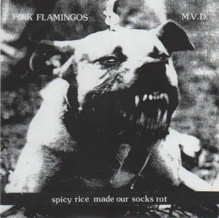 Pink Flamingos / M.V.D. - Spicy Rice Made Our Socks Rot