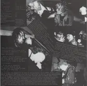 7inch Vinyl Single - Pink Flamingos / M.V.D. - Spicy Rice Made Our Socks Rot - EP, clear transparent pressing