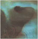 LP - Pink Floyd - Meddle - Italy 76