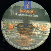 LP - Pink Floyd - A Momentary Lapse Of Reason