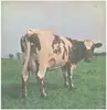 LP - Pink Floyd - Atom Heart Mother - GERMAN ORIGINAL