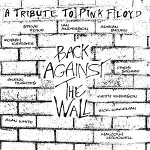 Pink Floyd - Back Against The Wall